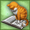 Книжный котенок