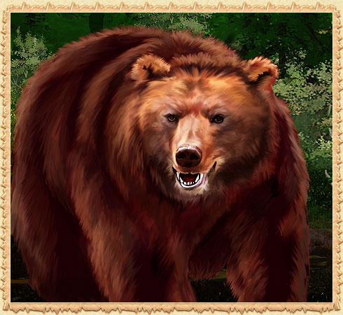 Медведь Пхадд
